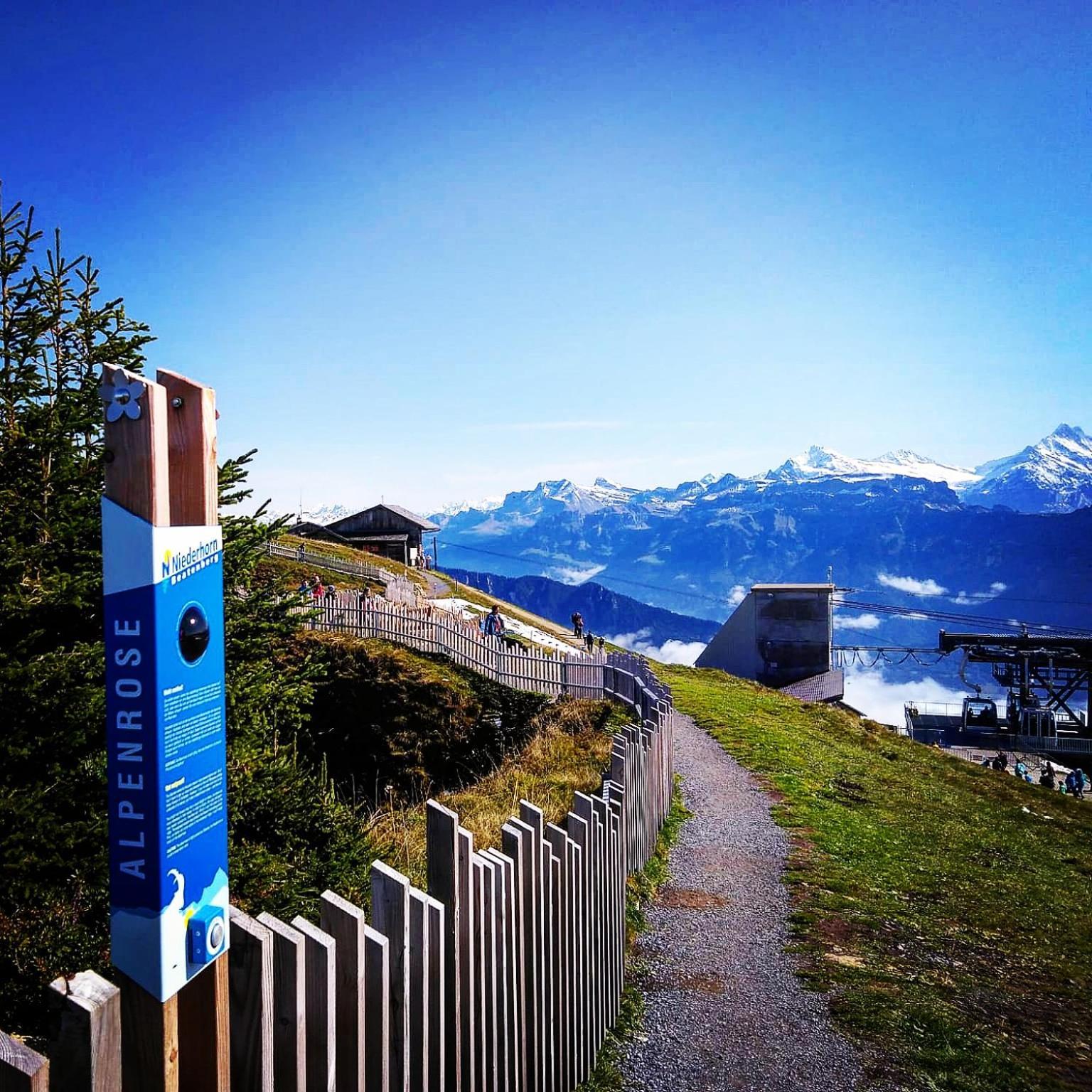 Chalet Lilo 4 Zimmer Big View Beatenberg Bagian luar foto